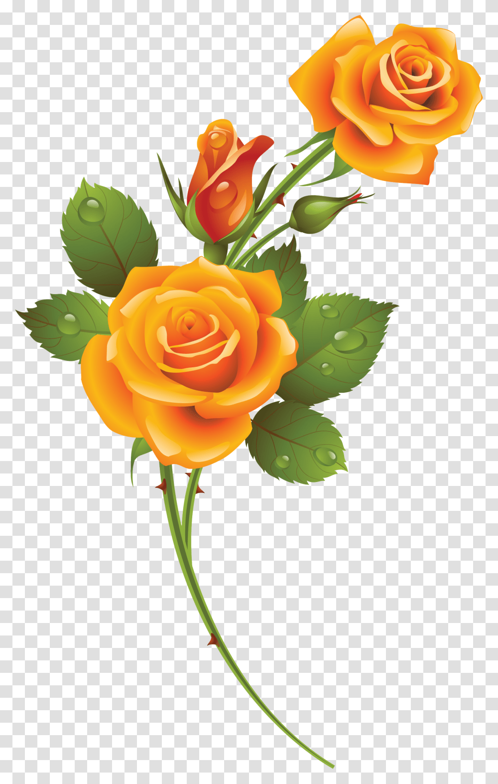 Rose Background Yellow Rose, Flower, Plant, Blossom Transparent Png