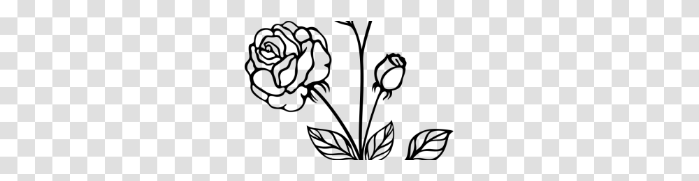 Rose Black And White Clipart Clipart Station, Gray, World Of Warcraft Transparent Png