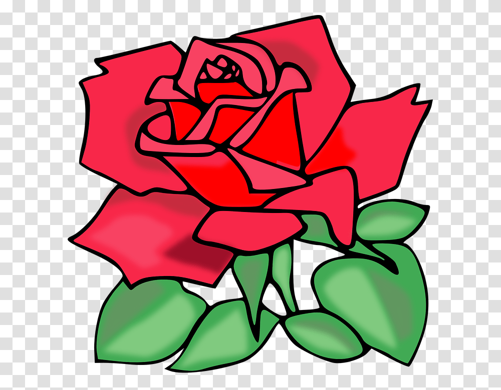 Rose Blossom Clipart, Plant, Painting, Flower Transparent Png