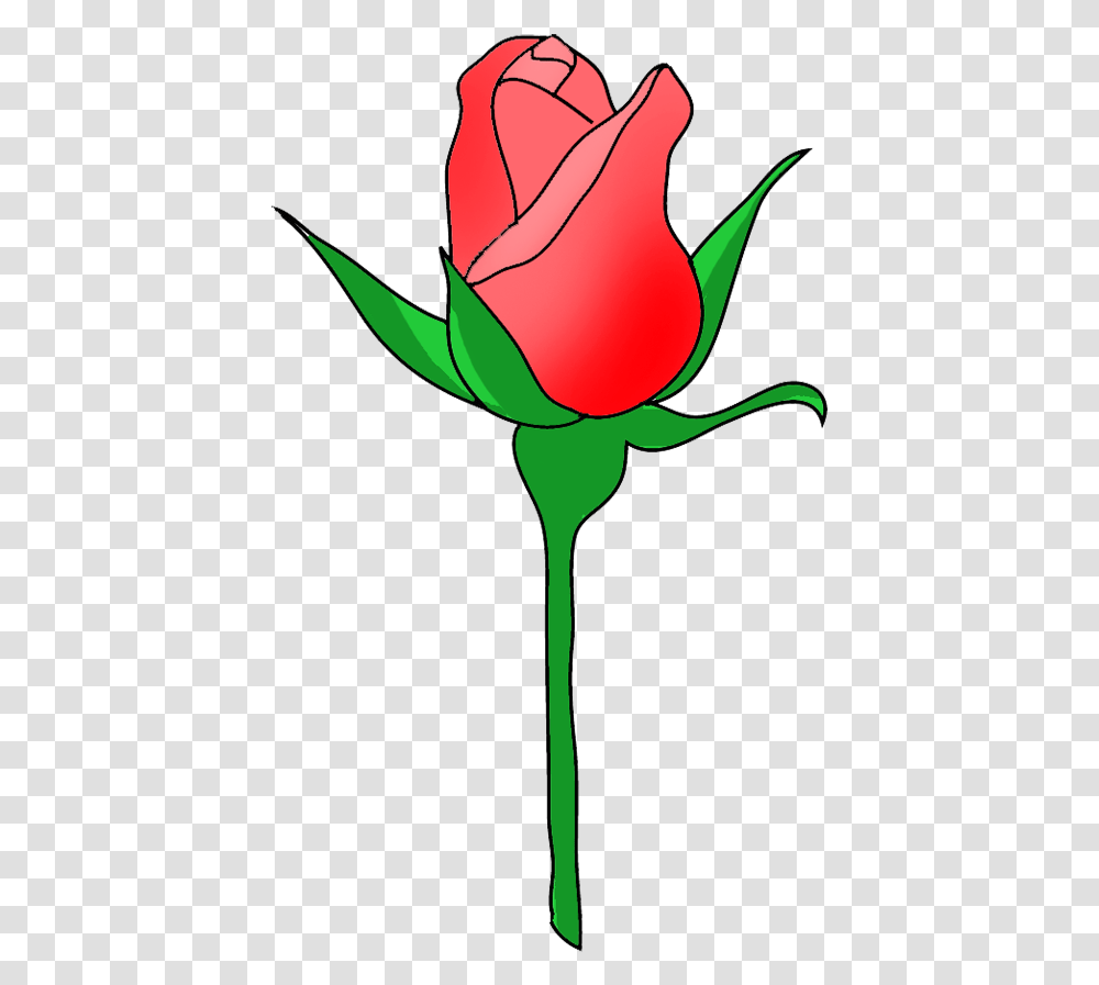 Rose Border Clip Art Rose Bud Clipart, Flower, Plant, Blossom Transparent Png