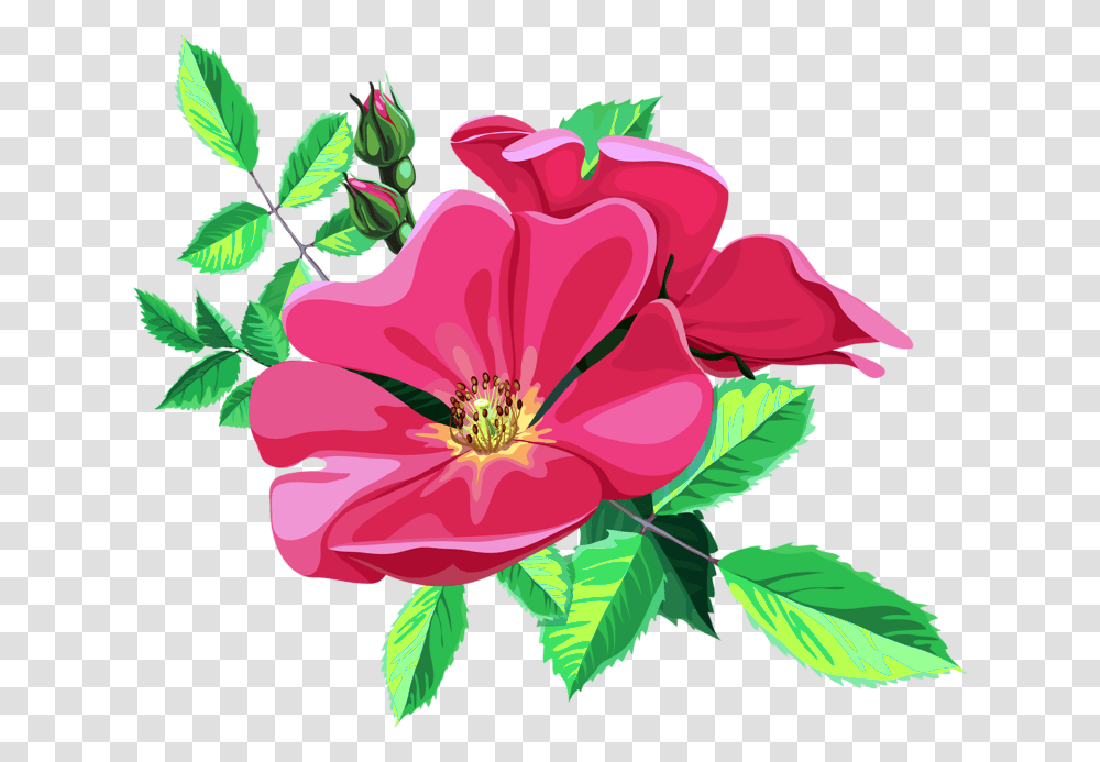 Rose Bouquet Clipart Animated Flower Image Jpg, Plant, Hibiscus, Blossom, Petal Transparent Png
