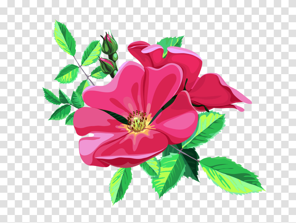 Rose Bouquet Design Patterns Studio, Plant, Hibiscus, Flower, Blossom Transparent Png