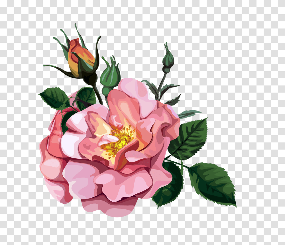 Rose Bouquet Design Patterns Studio, Plant, Peony, Flower, Blossom Transparent Png