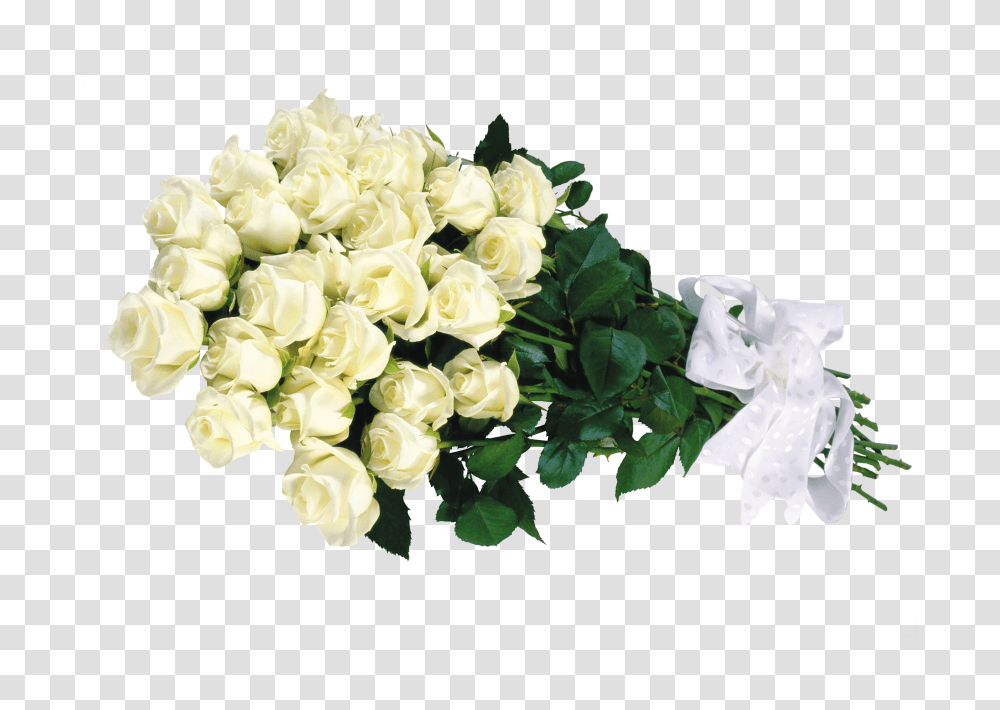 Rose Bouquet Image Bunch Of White Rose, Plant, Flower, Blossom, Flower Bouquet Transparent Png