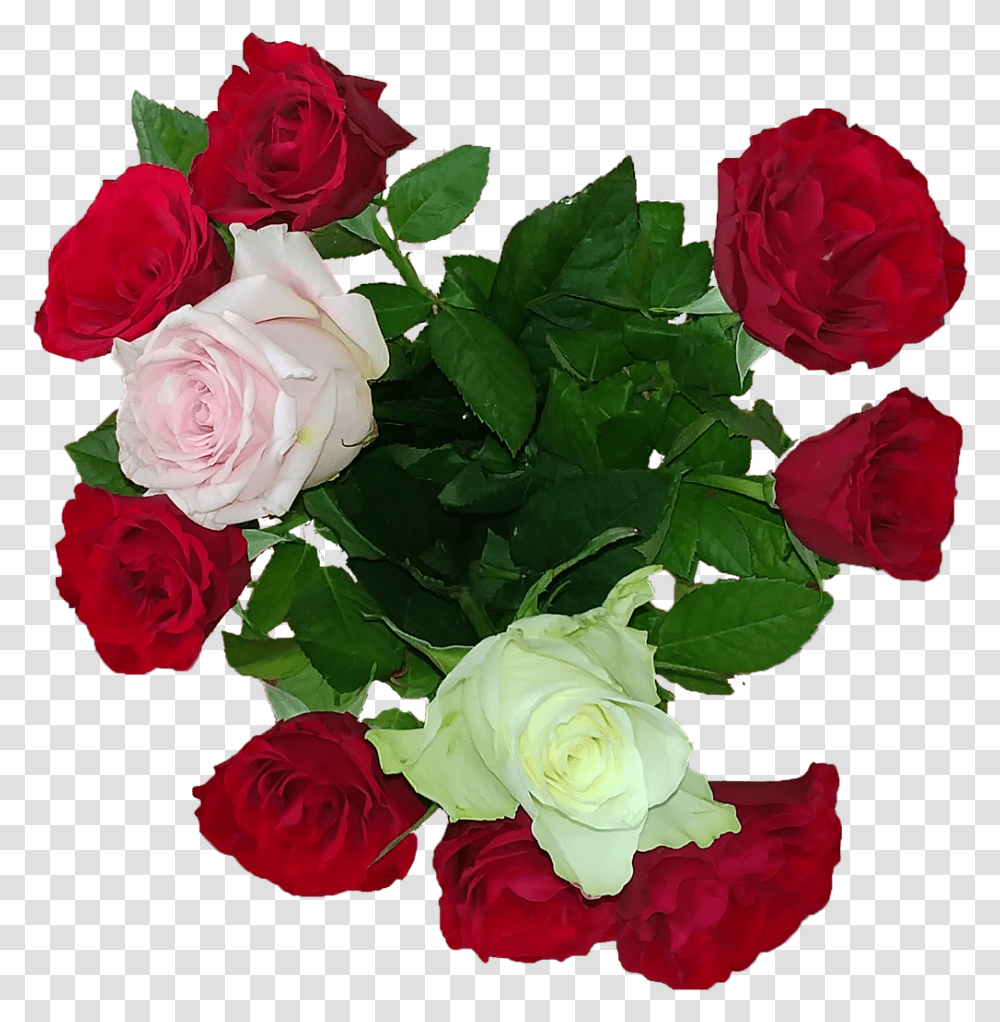 Rose Bouquet Love Free Picture, Plant, Flower, Blossom, Flower Bouquet Transparent Png