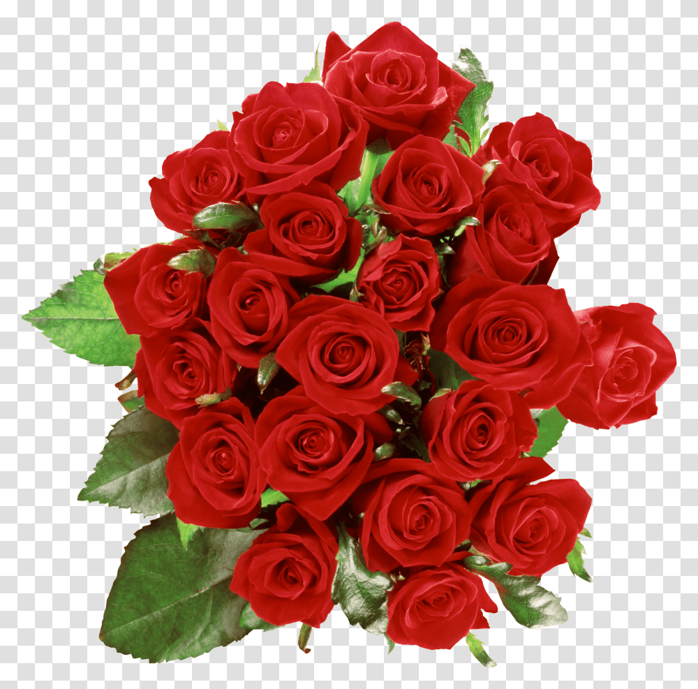 Rose Bouquet Picture Rozi Krasnie, Plant, Flower Bouquet, Flower Arrangement, Blossom Transparent Png
