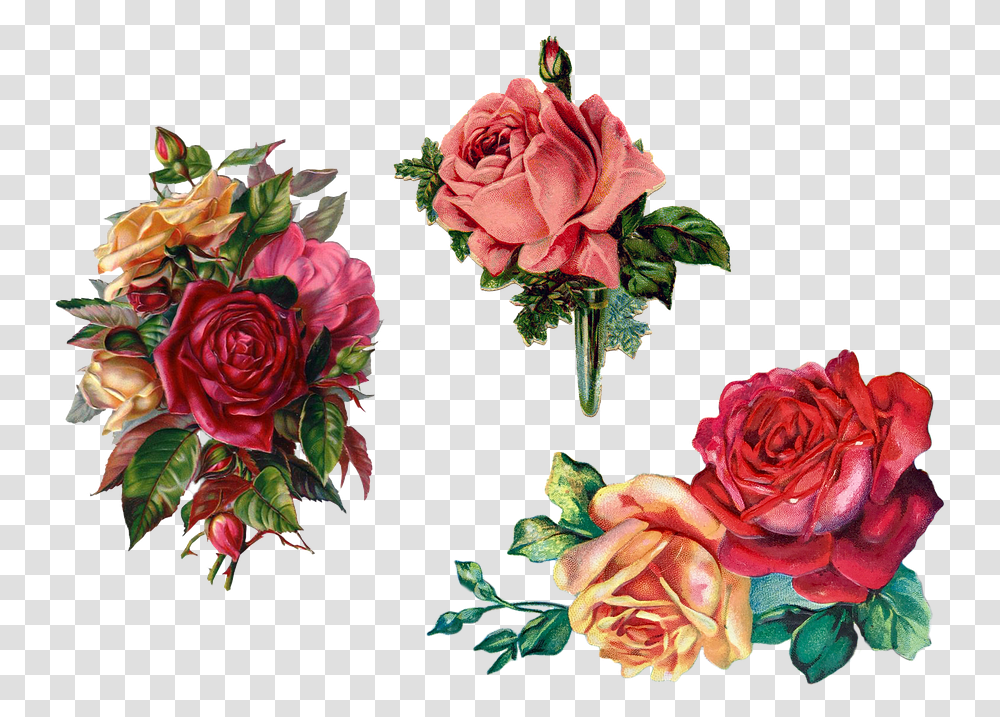 Rose Bouquet Vintage, Flower, Plant, Blossom, Flower Bouquet Transparent Png