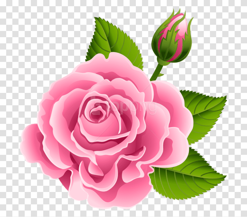 Rose Bud Pink Rose Bud Clipart, Plant, Flower, Blossom, Peony Transparent Png