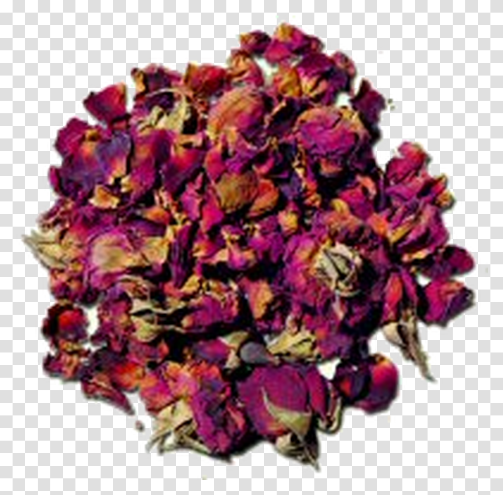 Rose Buds And Petals Herbal Loose Tea Garden Roses, Plant, Flower, Blossom, Graphics Transparent Png