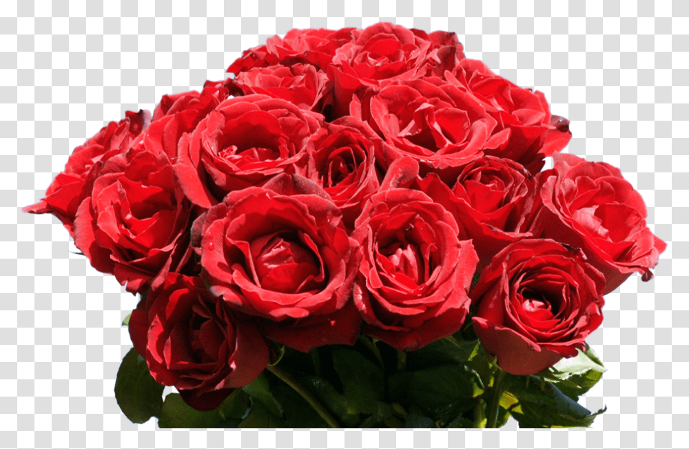 Rose Bunch, Plant, Flower, Blossom, Flower Bouquet Transparent Png