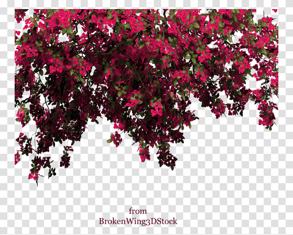 Rose Bush Clipart Bougainvillea Plant, Leaf, Tree, Flower, Blossom Transparent Png
