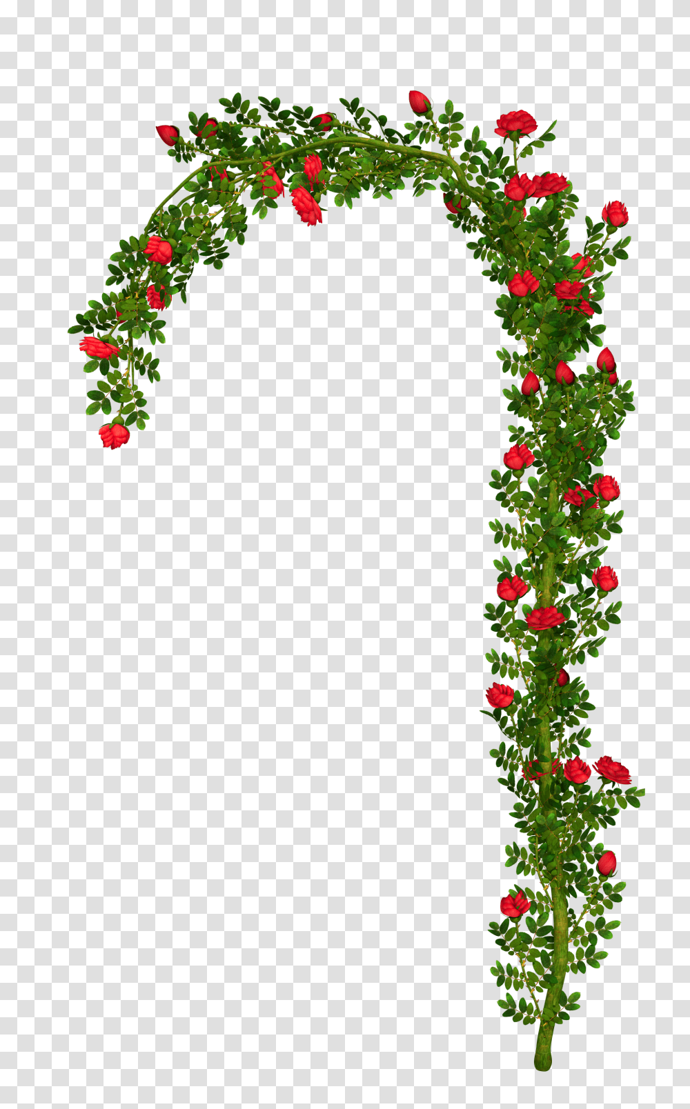 Rose Bush Clipart Clip Art Rose, Plant, Leaf, Ivy, Rug Transparent Png