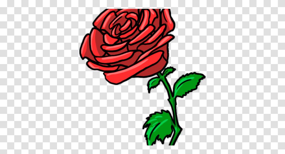 Rose Bush Clipart Drawn Rose Flower Cartoon, Plant, Blossom, Carnation, Petal Transparent Png