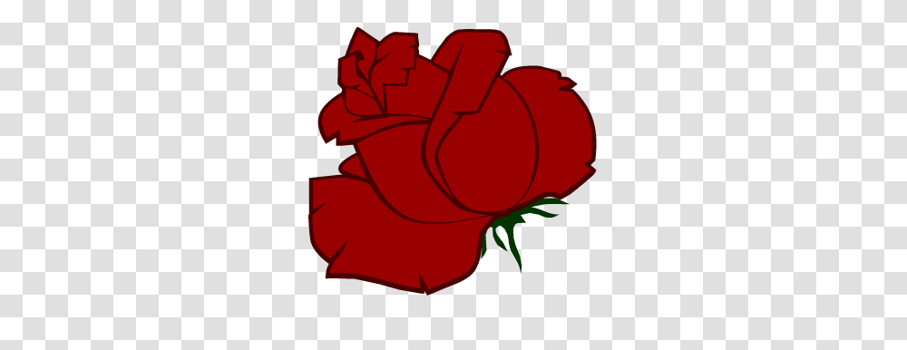 Rose Bush, Plant, Flower, Blossom, Petal Transparent Png