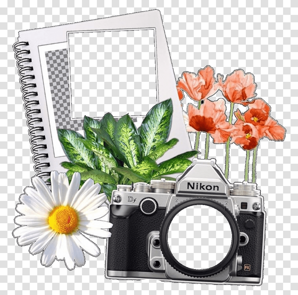 Rose, Camera, Electronics, Plant, Flower Transparent Png