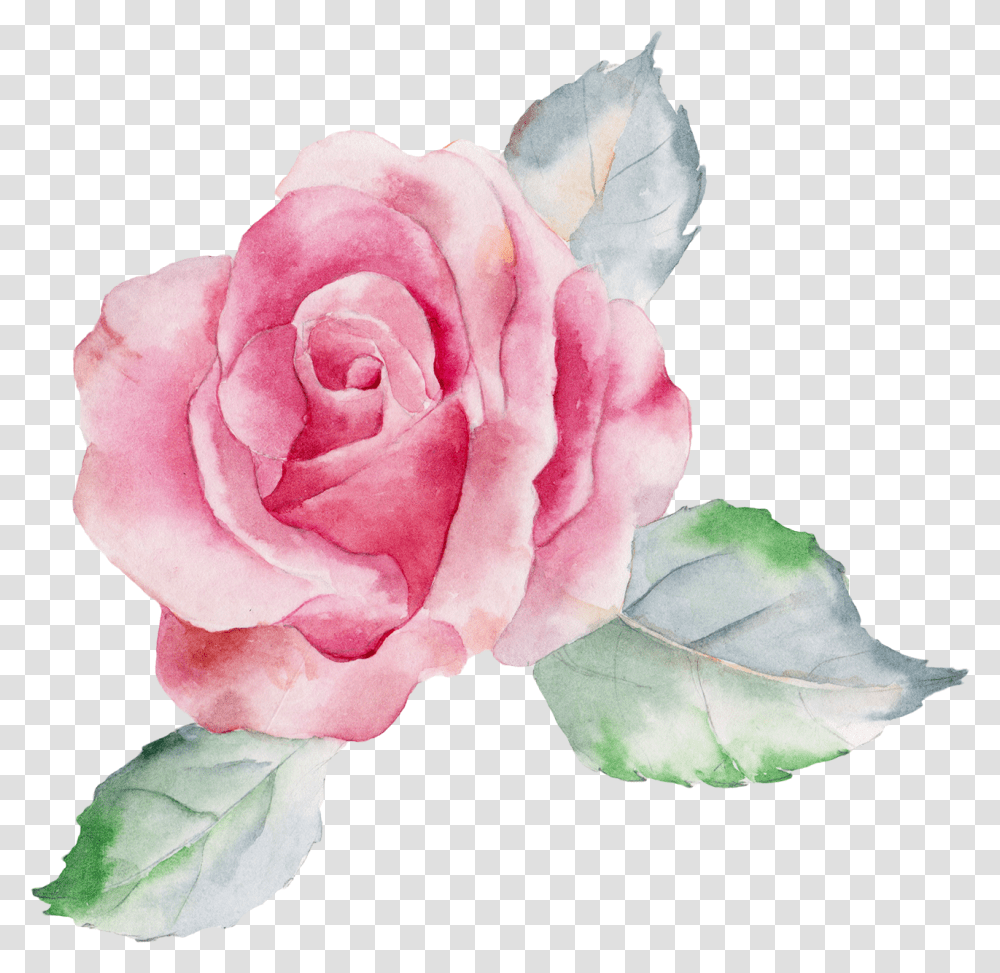 Rose Canvas Painting Flowers, Plant, Petal, Flower Arrangement, Dahlia Transparent Png