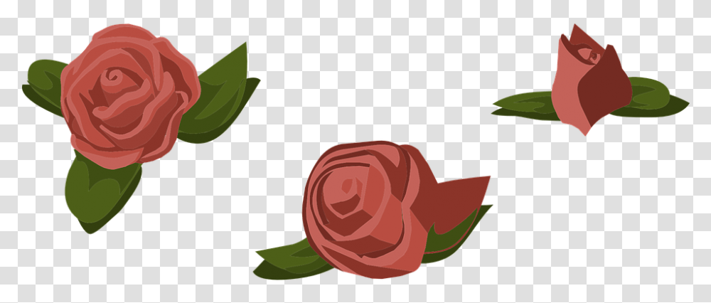 Rose Cartoon 22 Buy Clip Art Garden Roses Download Pink Flowers Scattered, Plant, Clothing, Apparel, Blossom Transparent Png