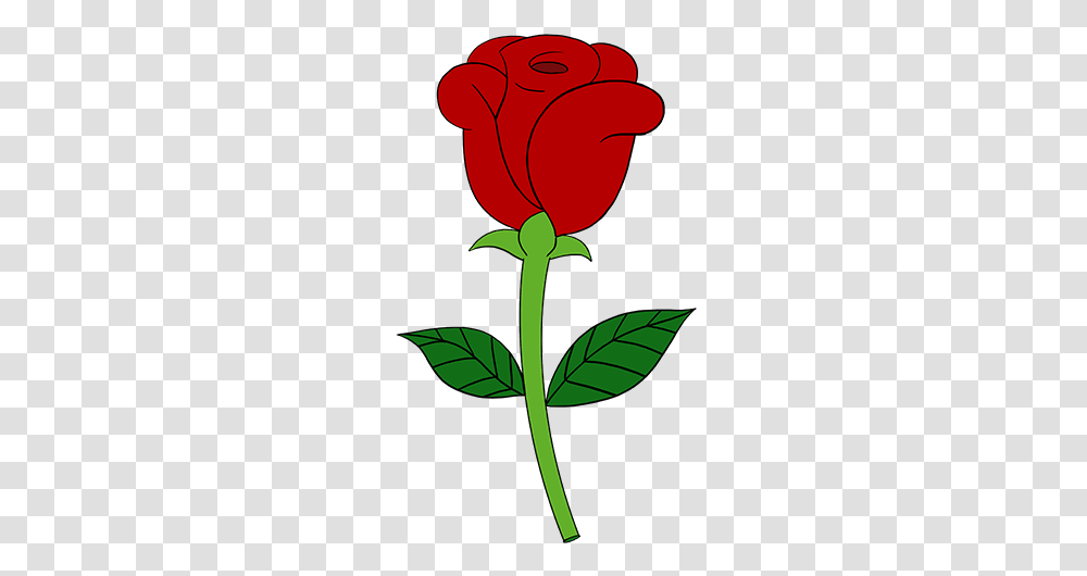 Rose Cartoon Drawing How To Draw A Flowers Bouquet Simple Red Rose Flower Drawing, Plant, Blossom, Petal, Acanthaceae Transparent Png