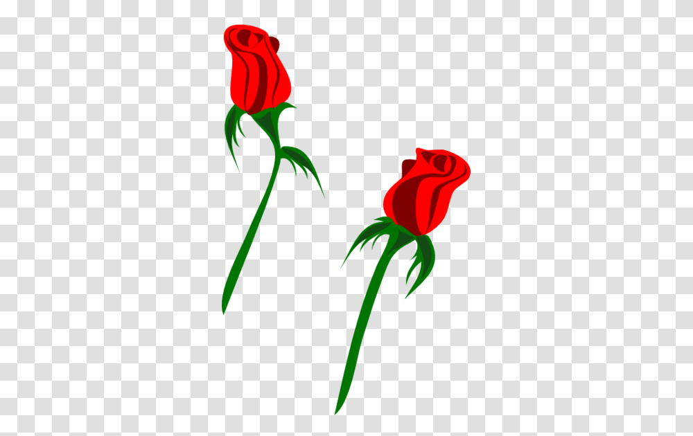 Rose Clip Art, Flower, Plant, Blossom, Bud Transparent Png