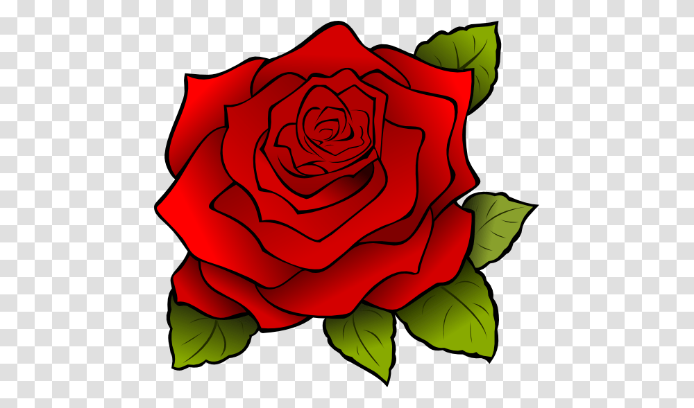 Rose Clip Art, Flower, Plant, Blossom, Petal Transparent Png