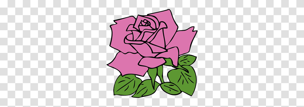 Rose Clip Art For Web, Floral Design, Pattern, Plant Transparent Png