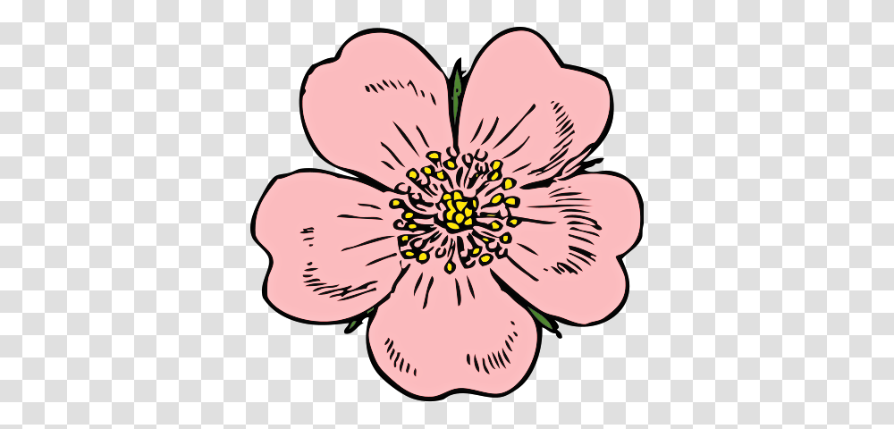 Rose Clip Art, Plant, Anther, Flower, Blossom Transparent Png