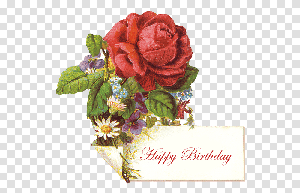 Rose Clipart Birthday Vintage Birthday Messages, Plant, Flower, Blossom Transparent Png