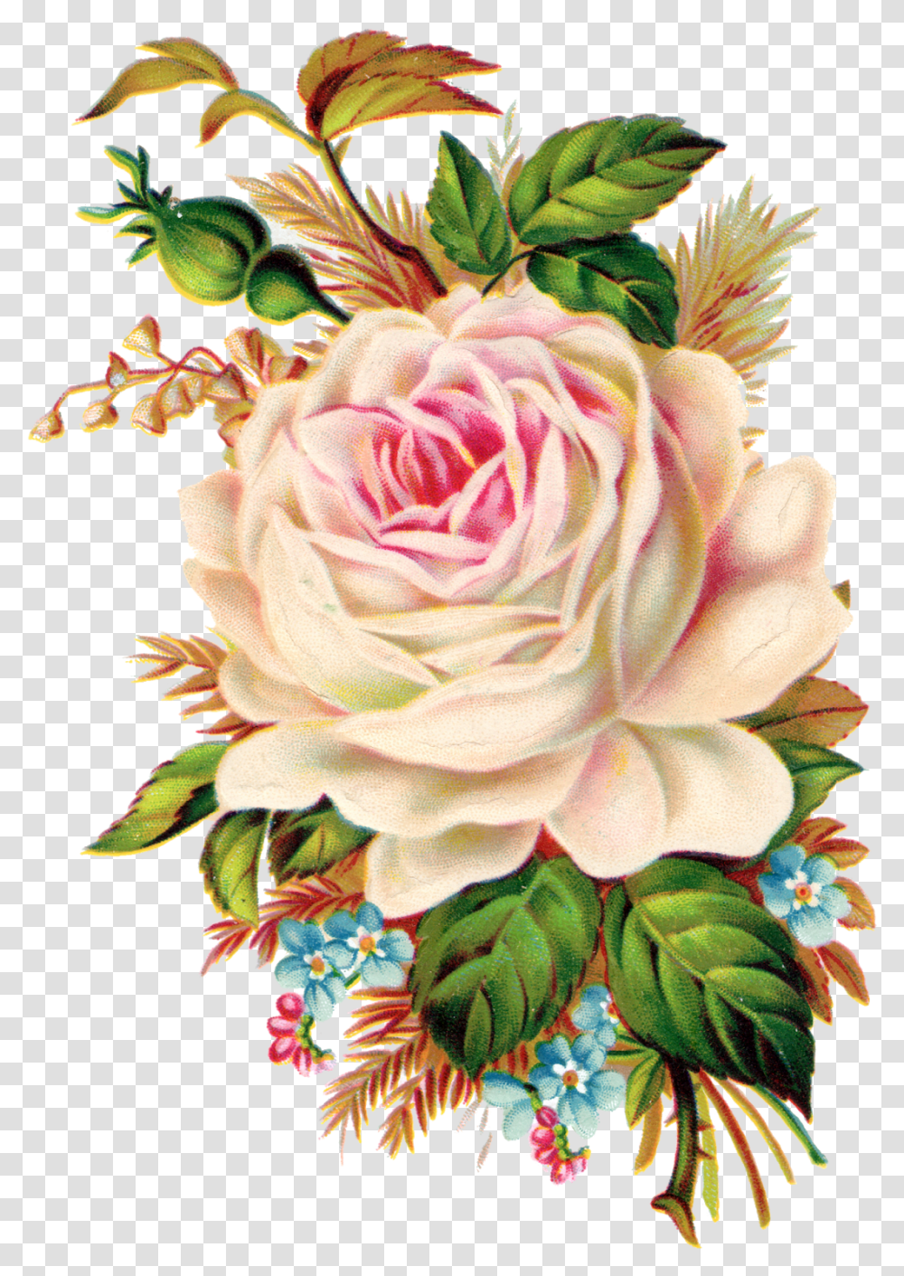 Rose Clipart Bucket Free Vintage Rose Clip Art, Plant, Flower, Blossom, Flower Arrangement Transparent Png