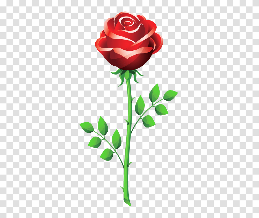 Rose Clipart Clipartaz Free Clipart Collection, Flower, Plant, Blossom, Petal Transparent Png