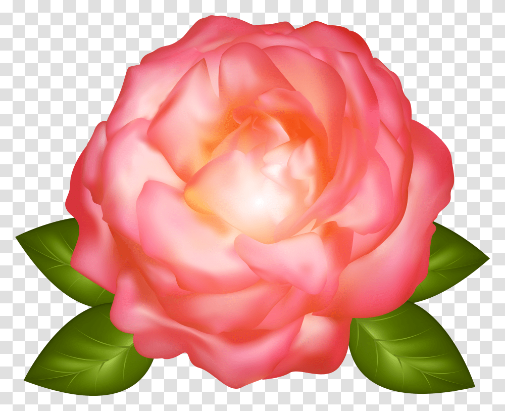 Rose Clipart Download Roses Transparent Png