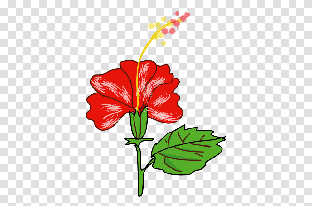 Rose Clipart Gumamela, Plant, Hibiscus, Flower, Blossom Transparent Png