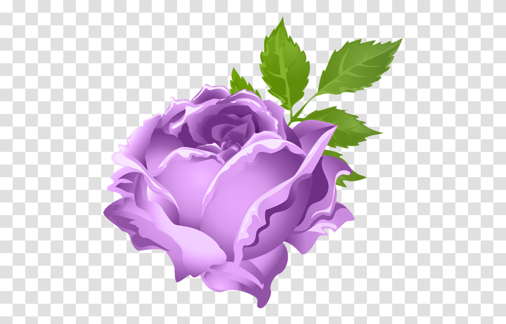 Rose Clipart Lavendar Orange Rose Clipart, Flower, Plant, Blossom, Iris Transparent Png