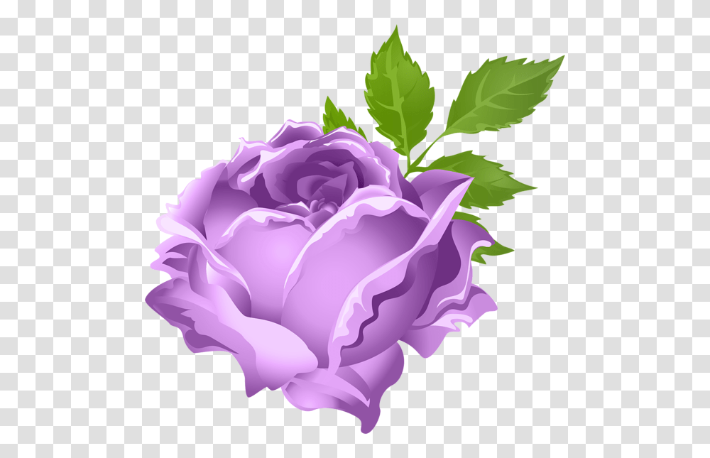 Rose Clipart Purple Roses Clipart, Flower, Plant, Blossom, Iris Transparent Png
