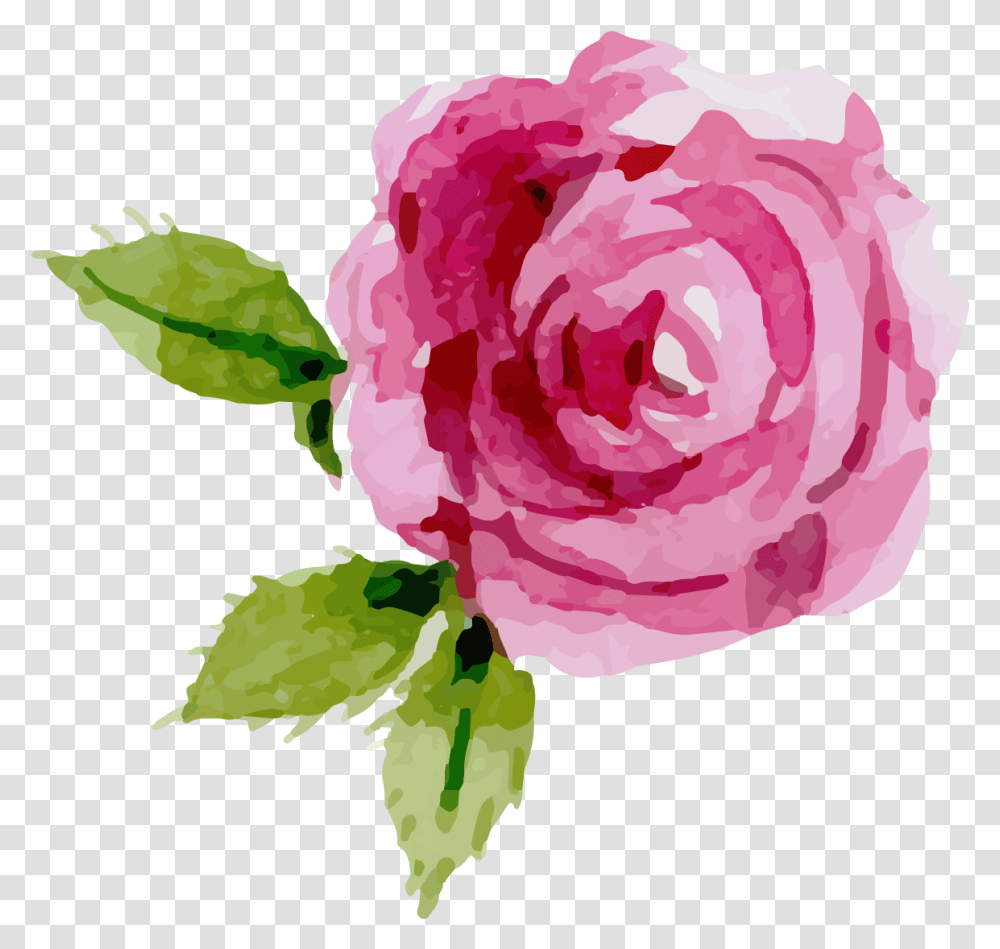 Rose Clipart Top Background Pink Rose Clipart, Plant, Flower, Blossom, Petal Transparent Png