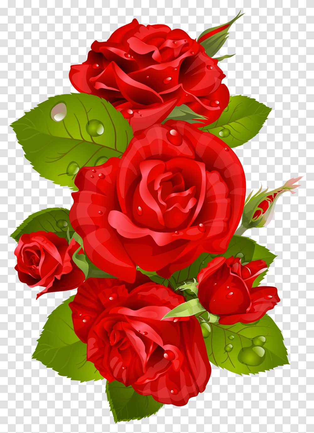 Rose Cliparts Decoration Watercolour Red Flower Transparent Png