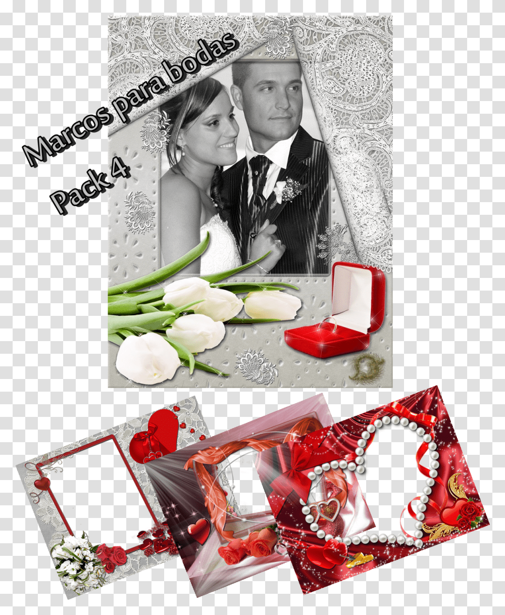 Rose, Collage, Poster, Advertisement, Person Transparent Png