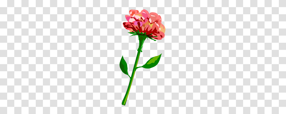 Rose Computer Icons Cut Flowers Floral Design, Plant, Bird, Animal, Petal Transparent Png