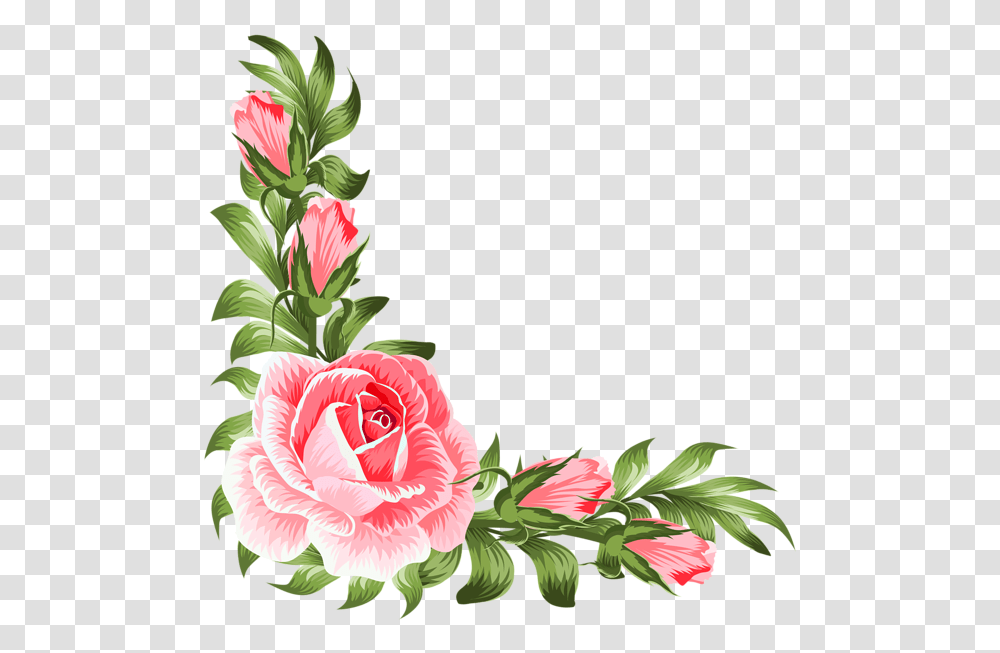 Rose Corner Border Design, Plant, Flower, Blossom, Floral Design Transparent Png