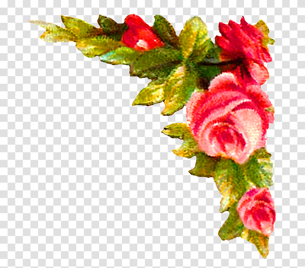 Rose Corner Design Illustration Gif Face Melt, Leaf, Plant, Flower, Blossom Transparent Png