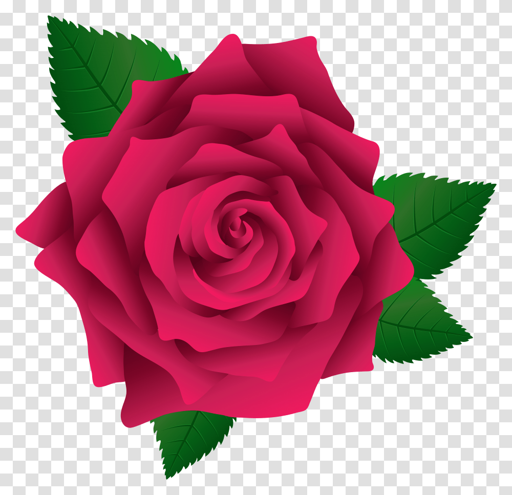 Rose Cute Flower Clipart Transparent Png