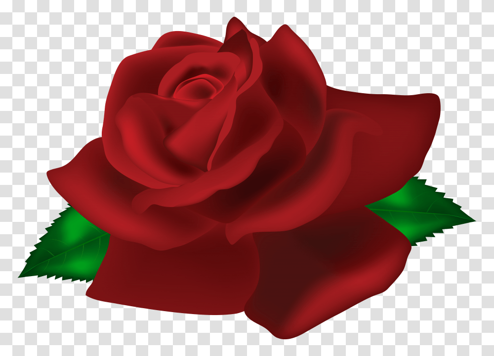 Rose Dark Red Clip Art, Flower, Plant, Blossom, Petal Transparent Png
