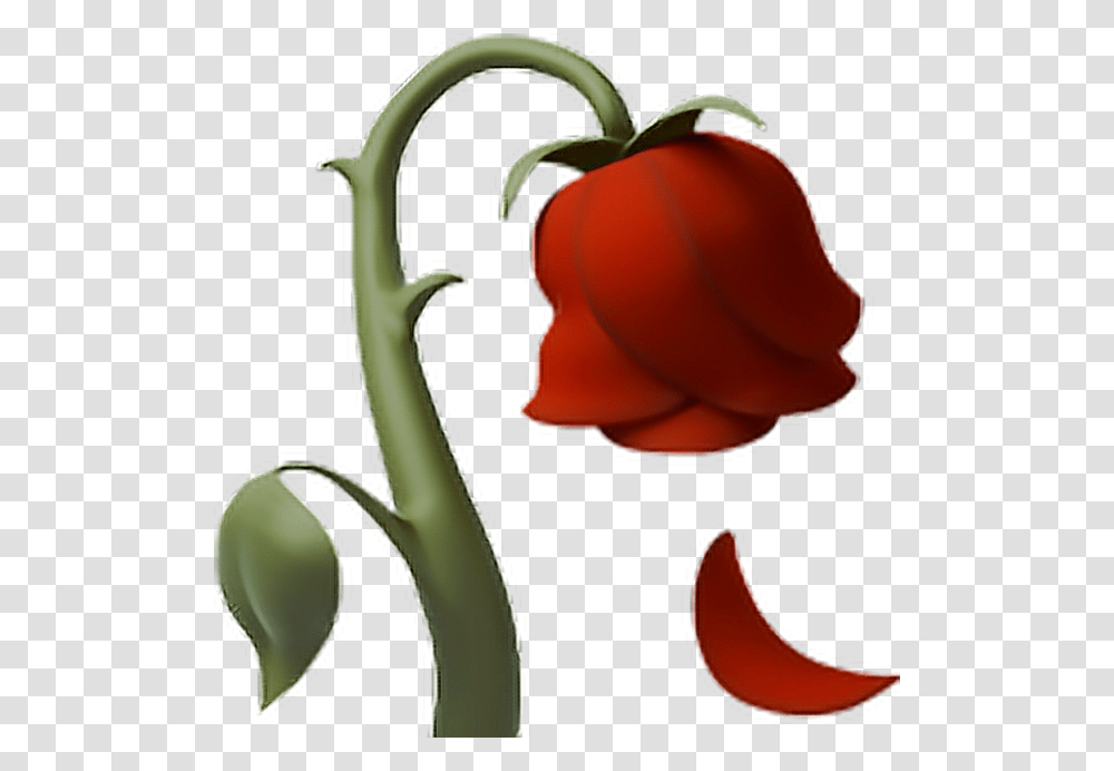 Rose Deadrose Flower Emoji Iphone, Plant, Blossom, Vegetable, Food Transparent Png