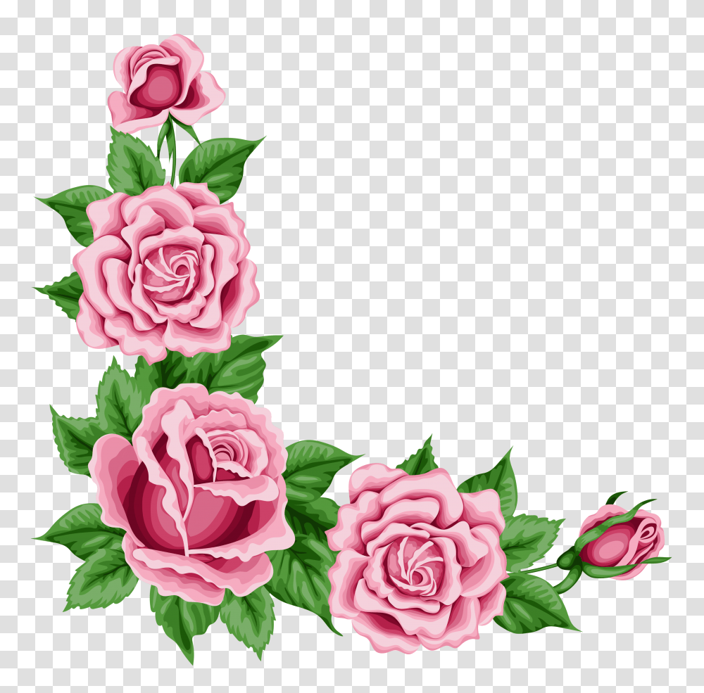 Rose Decoration Cliparts, Plant, Flower, Blossom, Carnation Transparent Png