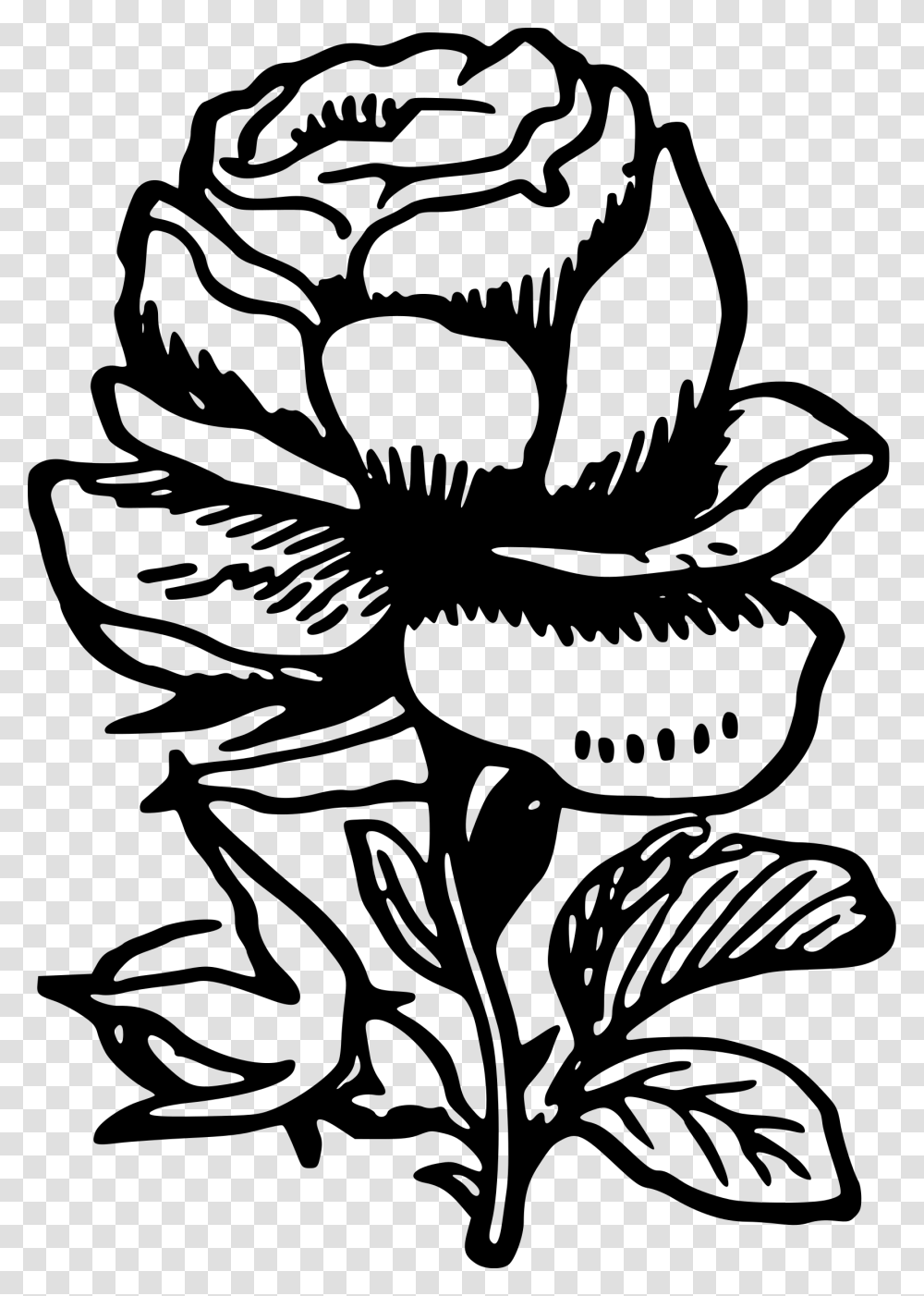 Rose Drawing In, Gray, World Of Warcraft Transparent Png