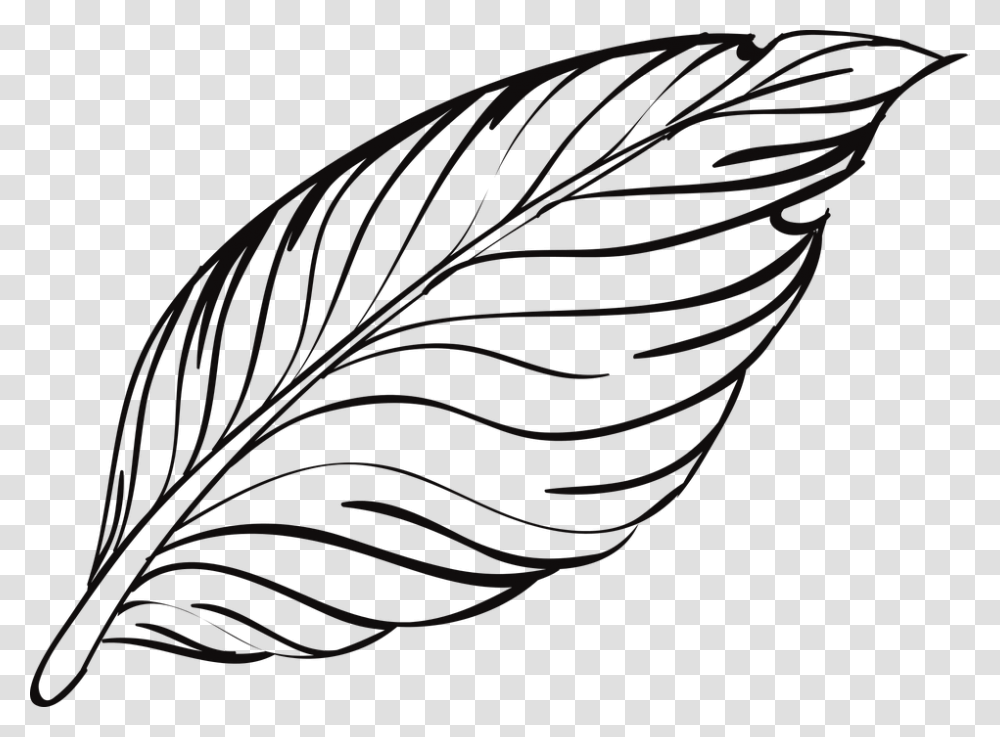 Rose Drawing Outline 17 Buy Clip Art Feather Outline, Pillow, Cushion, Stencil, Leaf Transparent Png