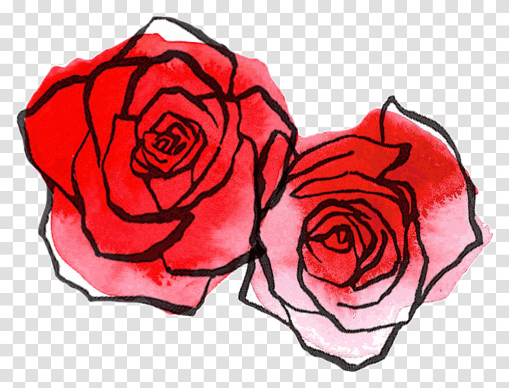 Rose Drawing, Plant, Flower, Petal, Geranium Transparent Png