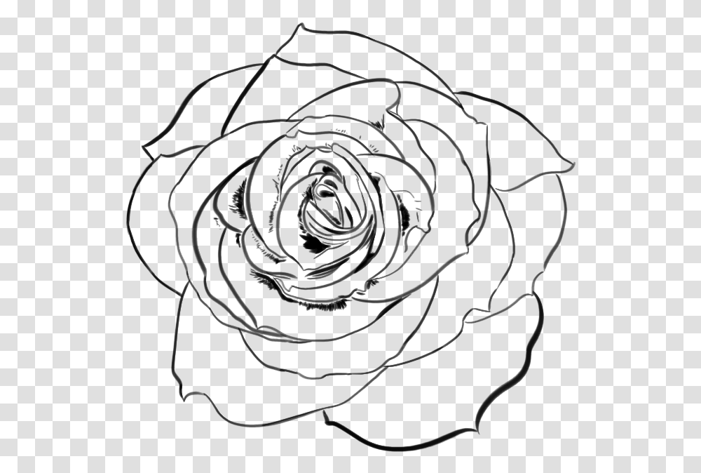 Rose Drawing Rose Line Art, Gray, World Of Warcraft Transparent Png