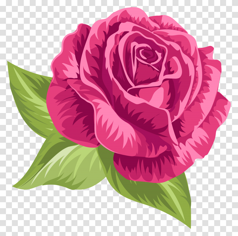 Rose Drawing Vintage Roses, Plant, Flower, Blossom, Carnation Transparent Png