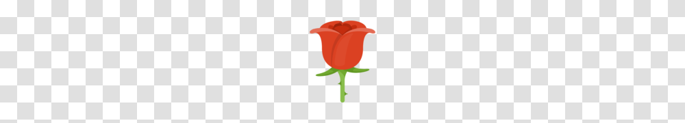 Rose Emoji Meaning Copy Paste, Plant, Flower, Blossom, Petal Transparent Png