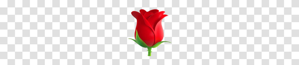 Rose Emoji On Apple Ios, Plant, Flower, Blossom, Petal Transparent Png